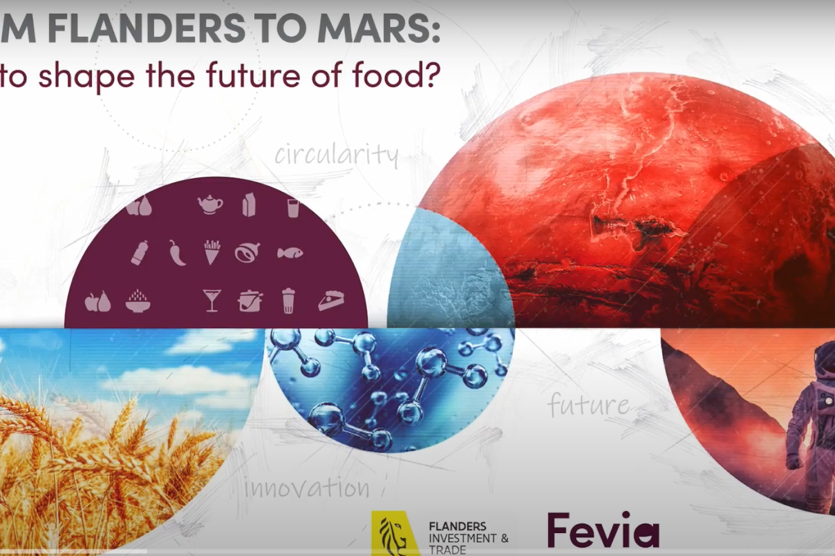 From Flanders to Mars