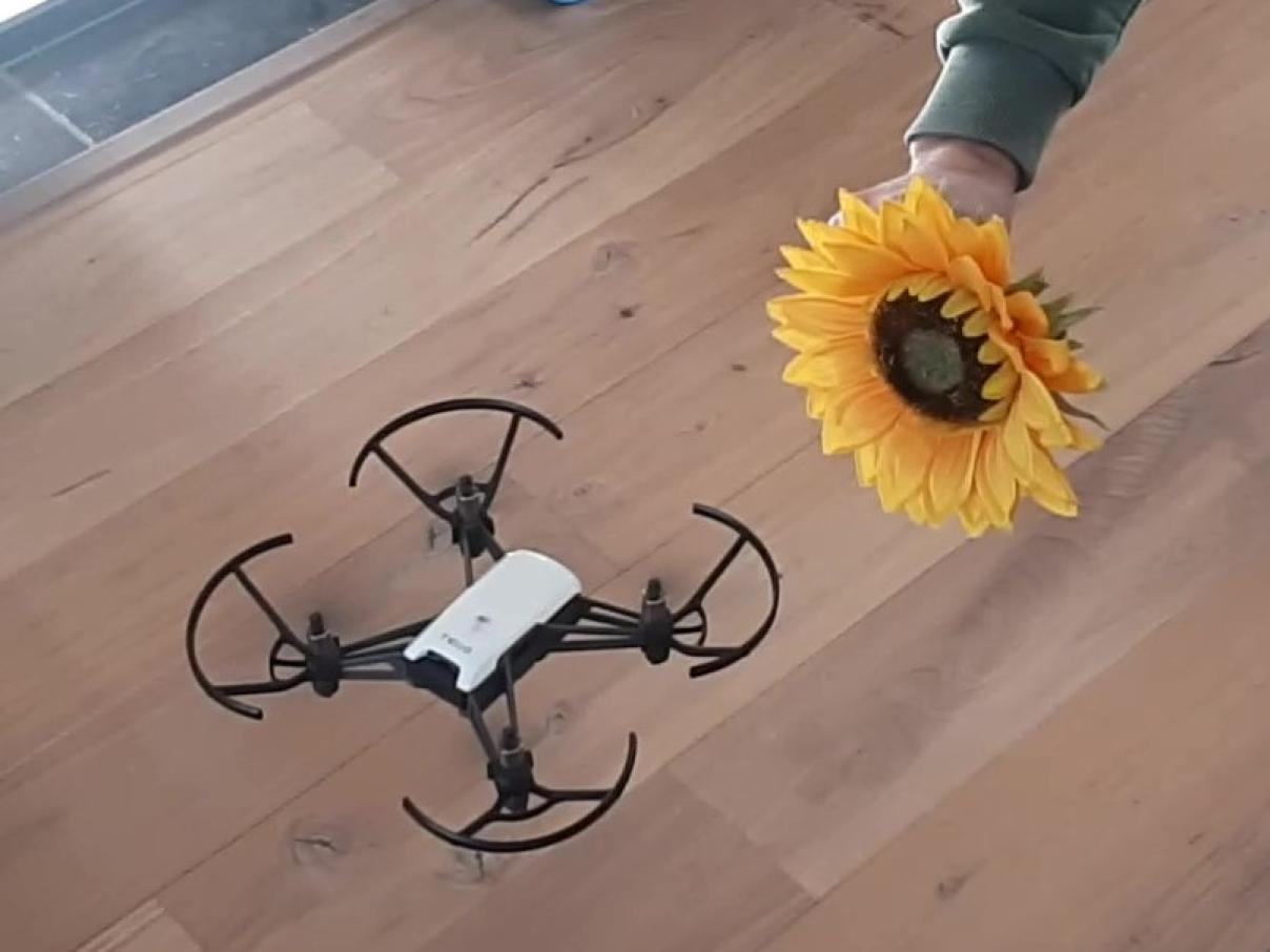 nanodrone